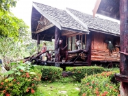 Thai167