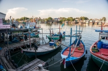 Thai226