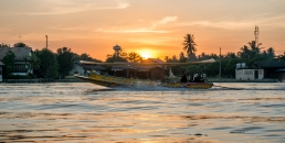 Thai290